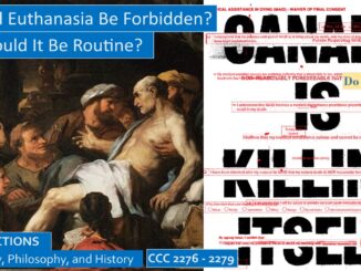 Should Euthanasia Be Forbidden? Or Should It Be Routine?